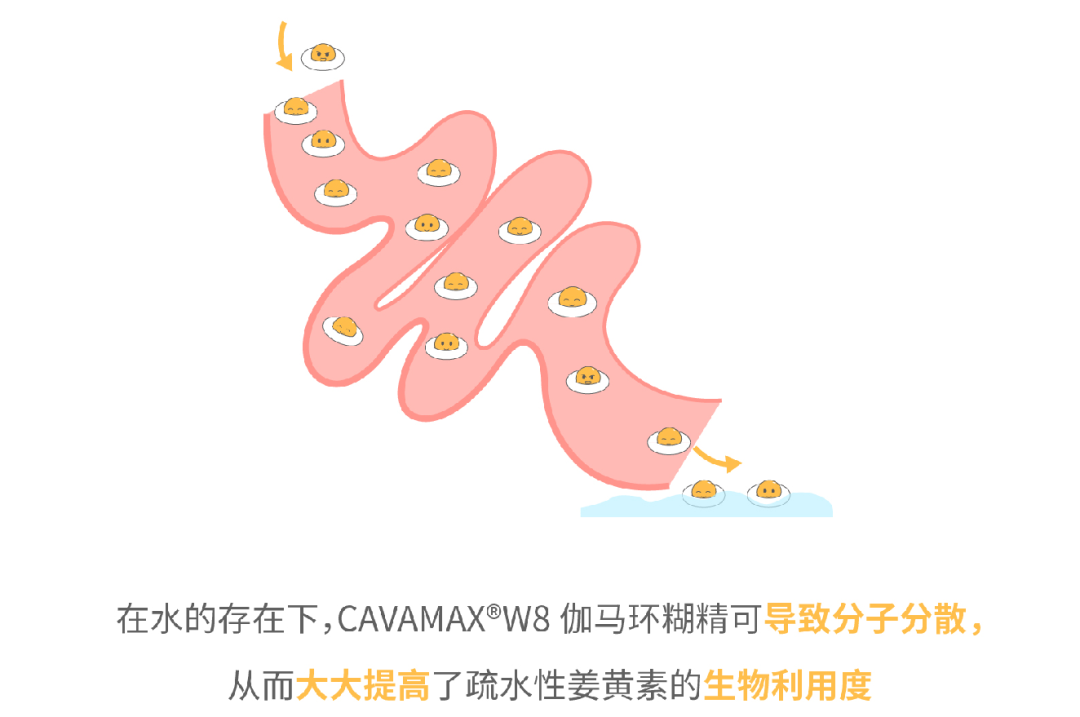 97国内精品久久久久不卡